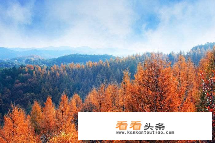 旅游计划和安排？