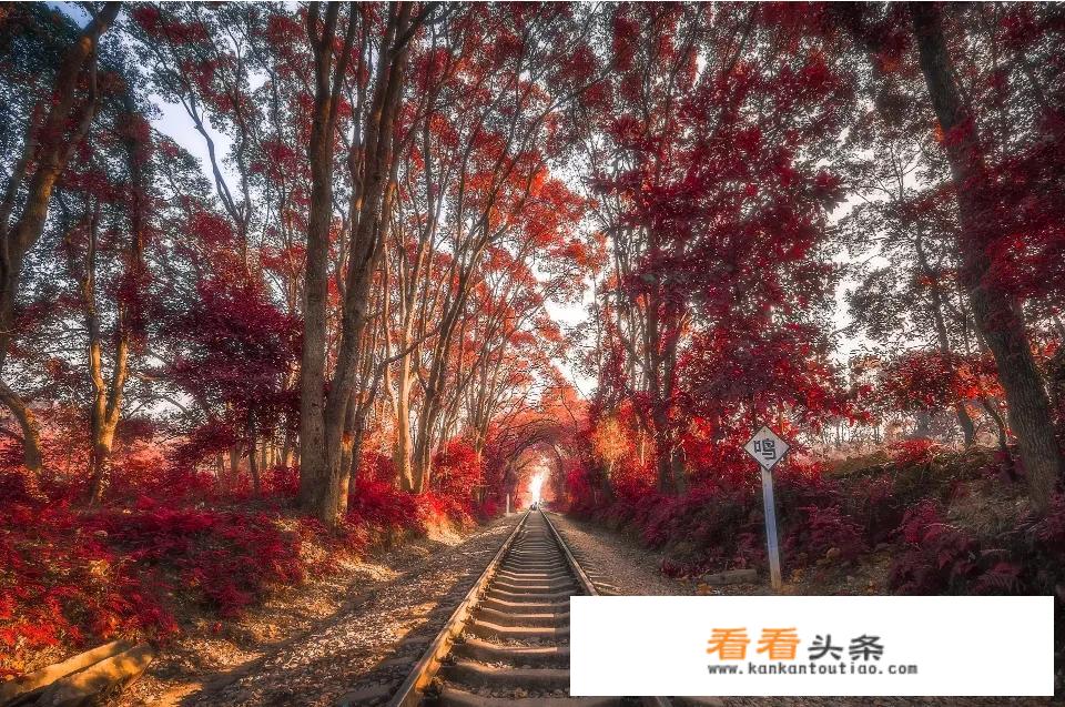 怎么参加徒步旅行？