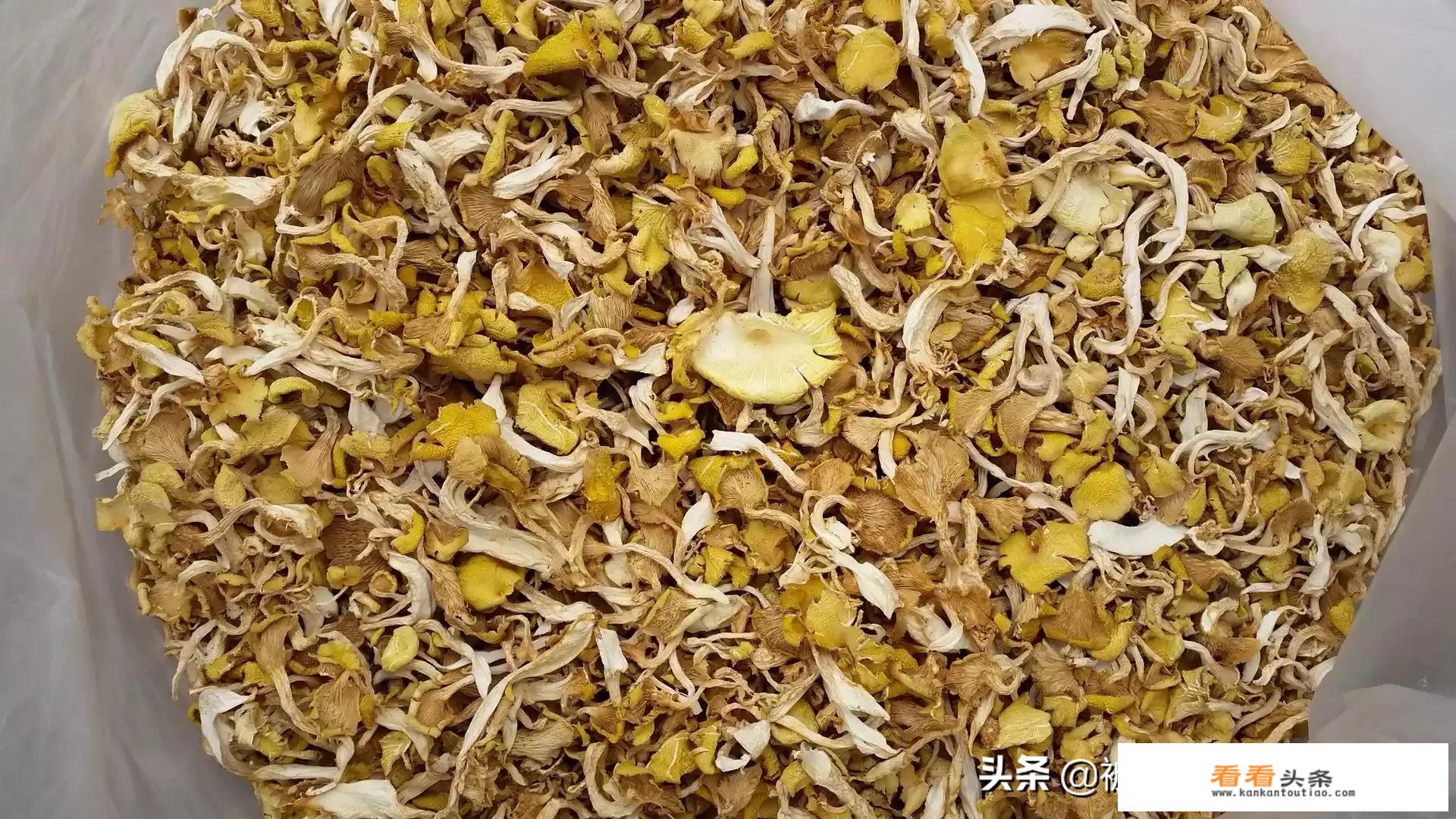黄金菇口感怎么样？