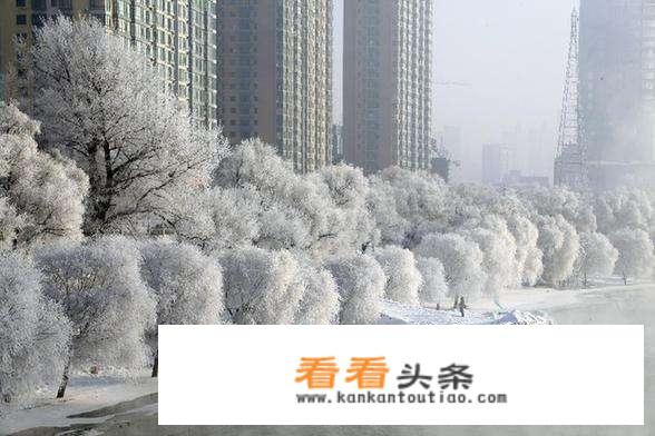 去烟台旅游大世界坐几路车？