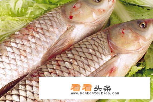 怎么炖鱼好吃又简单家常做法？