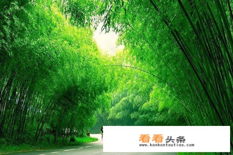 李金早在什么会议上提出了全域旅游的概念？