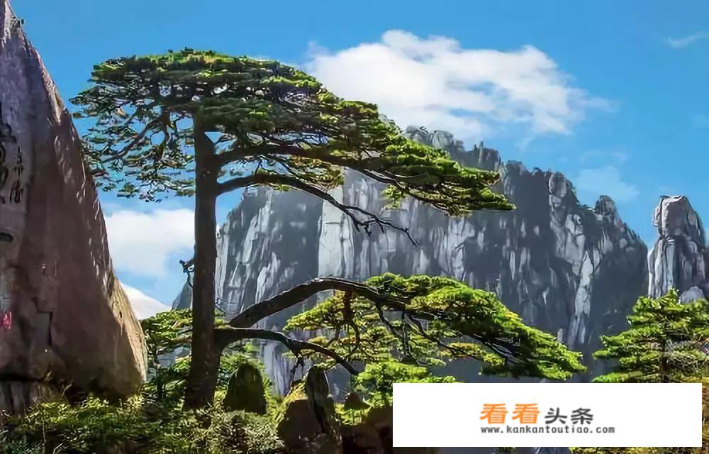 贵阳海鲜市场有哪些？