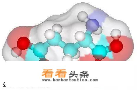 减脂最快的十种食物？
