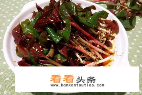 凉拌不加辣的新鲜折耳根的吃法？