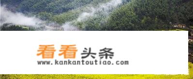 我国乡村旅游扶贫存在哪些问题？