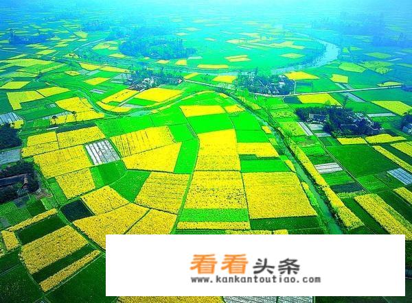 宜宾和泸州哪个繁华？