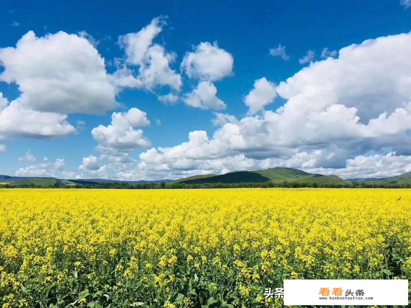 海拉尔、呼伦贝尔大草原的旅游路线有哪些推荐？
