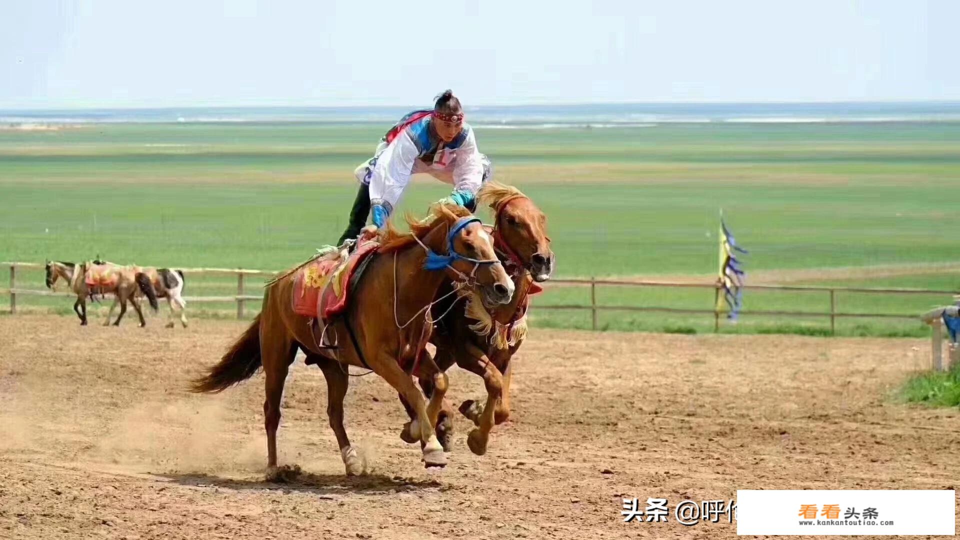 海拉尔、呼伦贝尔大草原的旅游路线有哪些推荐？