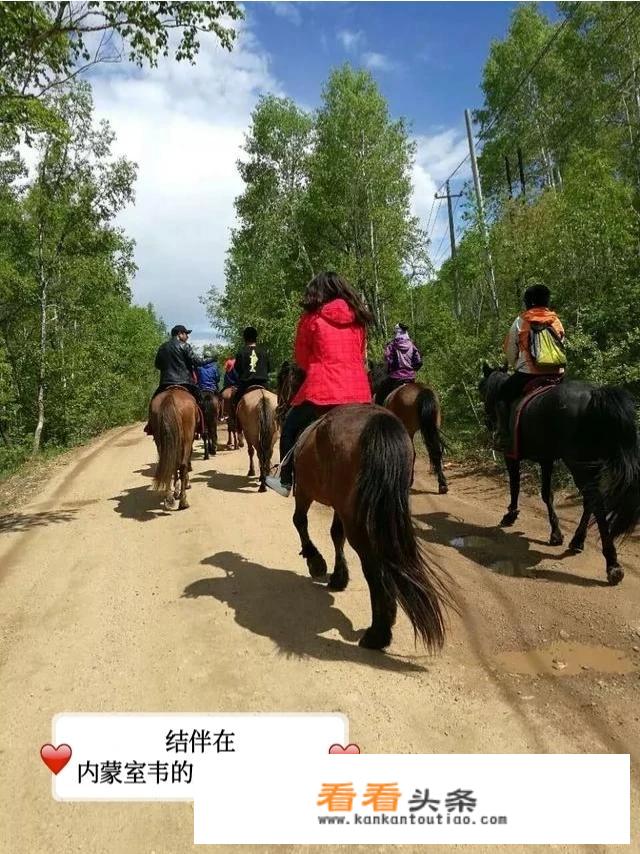 旅行更好的方式是什么？