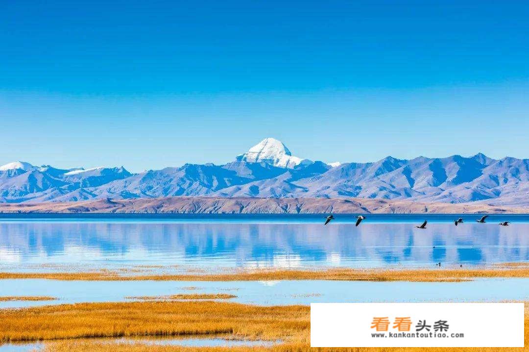 游咔怎么搜索？