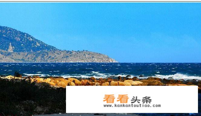 越南旅游一次最多可以待多久？
