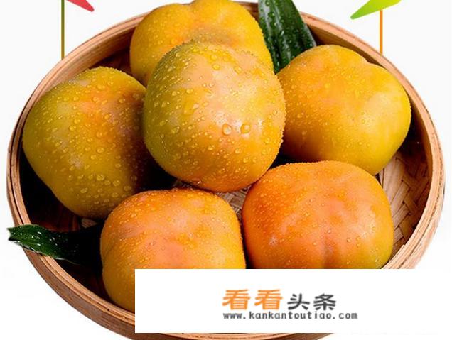 吃柿子有什么禁忌吗？