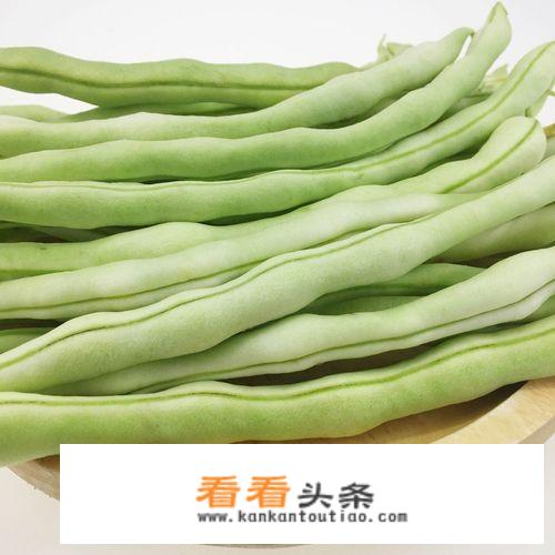 豇豆和芸豆图片区别？
