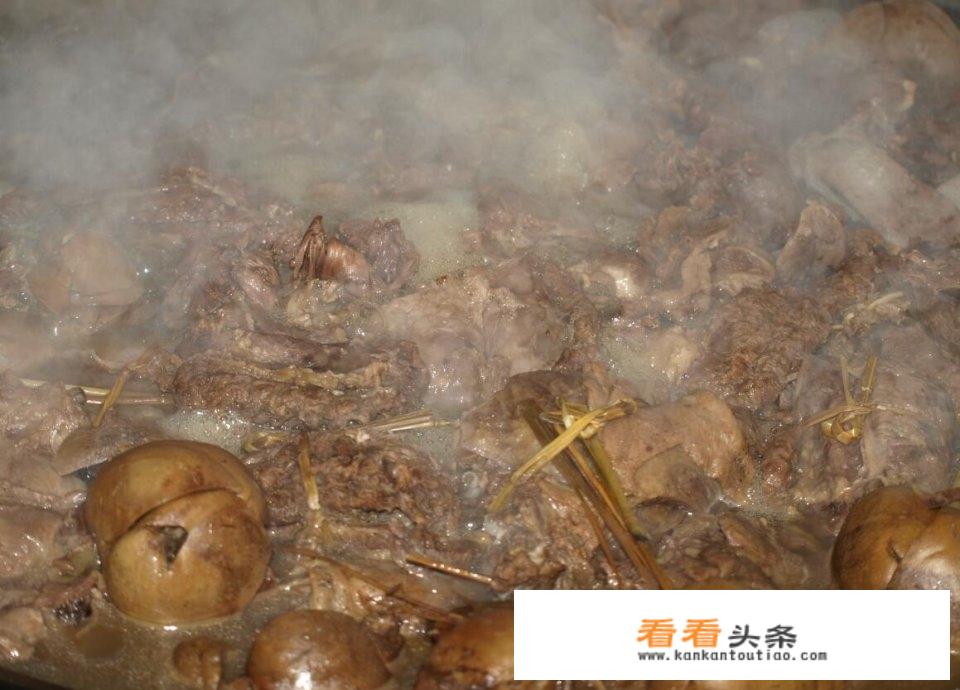 狗肉怎样才容易煮烂？