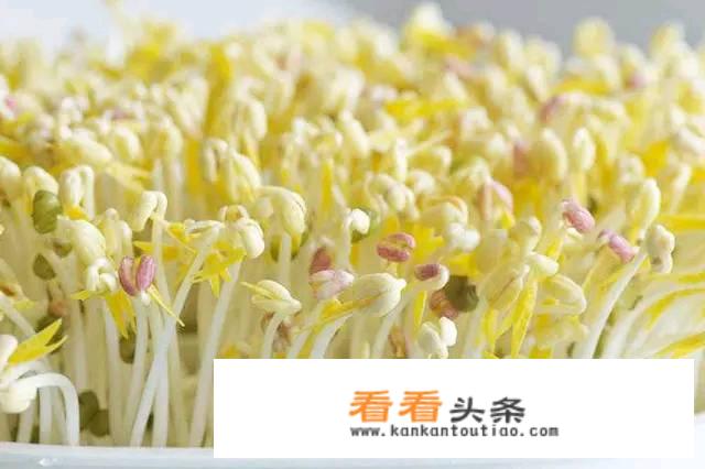 黄豆芽怎么发？