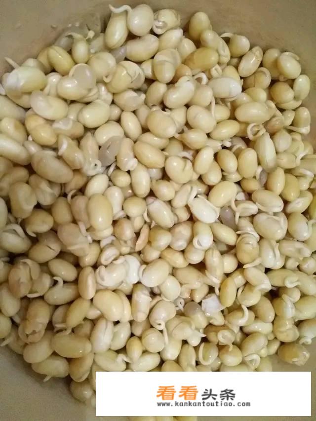 黄豆芽怎么发？