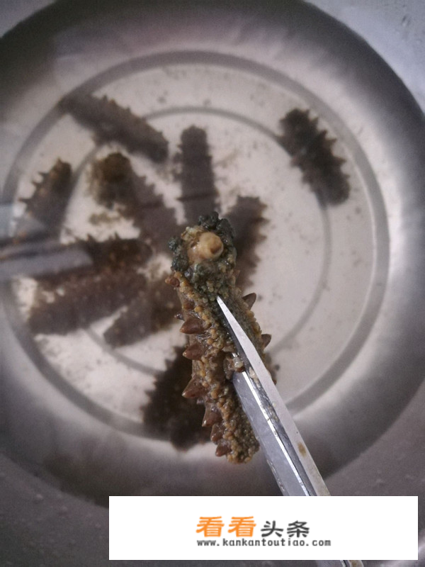 干海参食用 *** ？