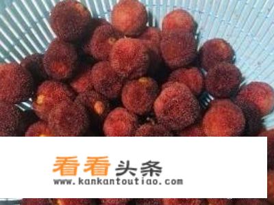自制杨梅酒的做法步骤？