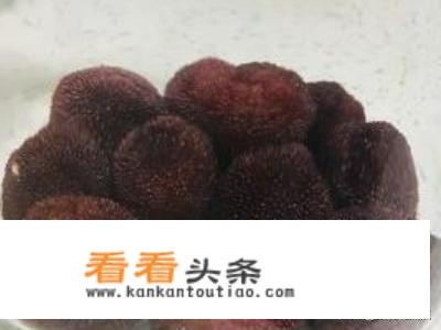 自制杨梅酒的做法步骤？
