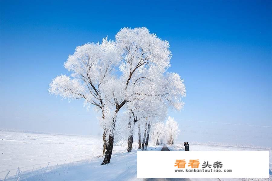 北疆冬季自驾游更佳线路？