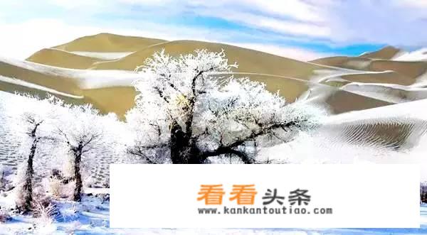 北疆冬季自驾游更佳线路？