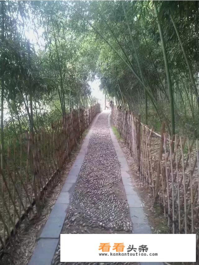 丽水几月份最美？