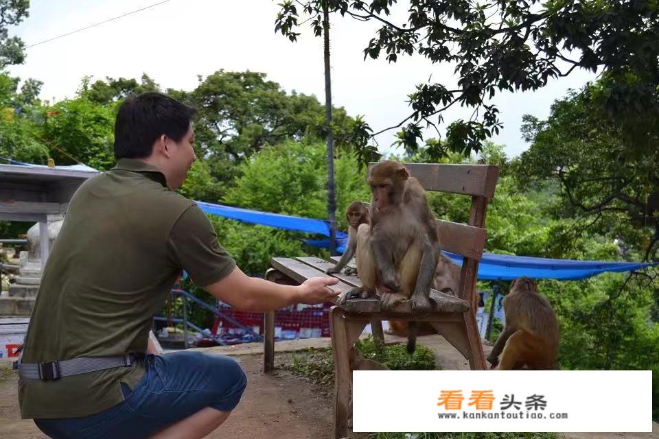 尼泊尔旅游费用大概要多少?尼泊尔旅行要多少钱？