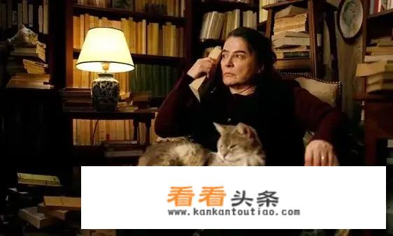 刺猬的优雅吃的是什么糖？