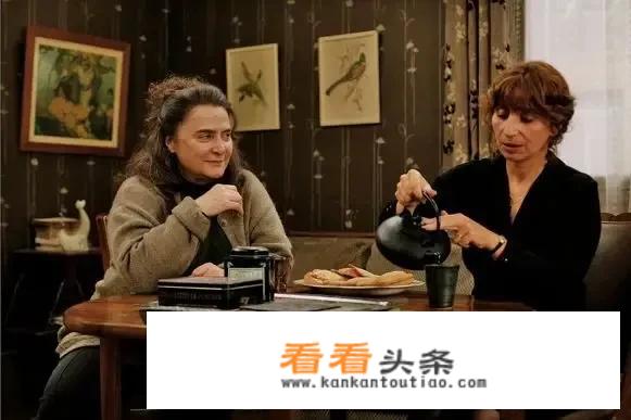 刺猬的优雅吃的是什么糖？