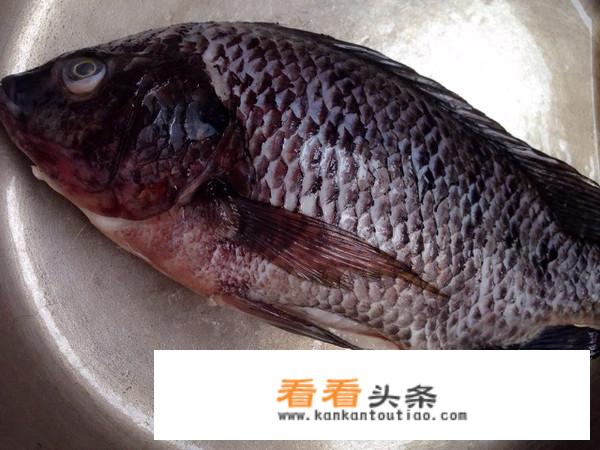 清汤水煮鱼的家常做法？