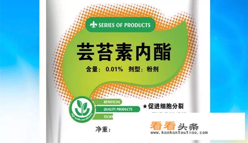 流体硼能和杀虫剂能混用吗？