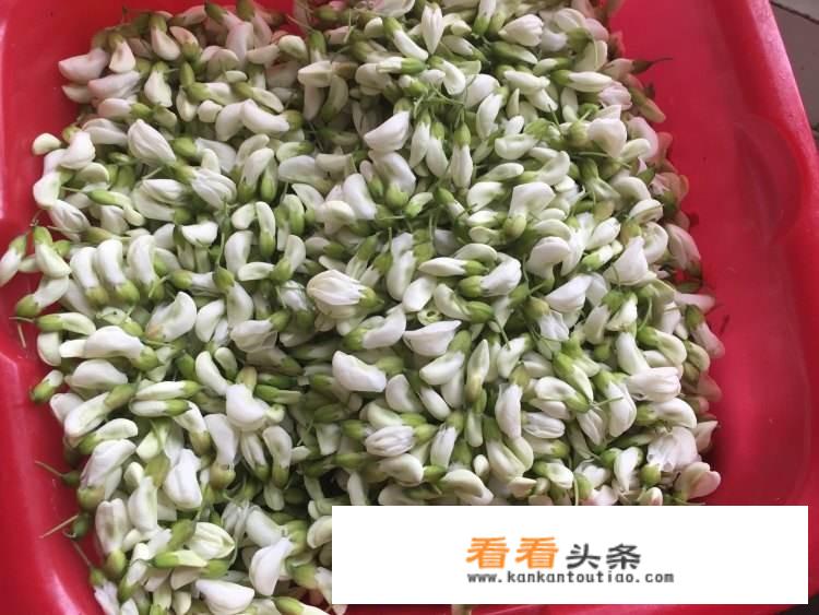 网上买新鲜的洋槐花最少8块钱一斤，很多人购买，农村人能不能靠卖洋槐花致富？