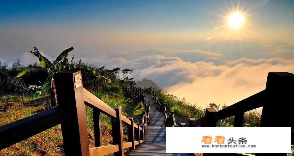 如果有一天可以回到从前，你最想改变什么？你后悔当初的选择吗？