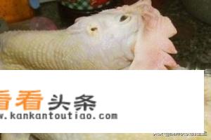 吊炉鸡翅的制作方法？