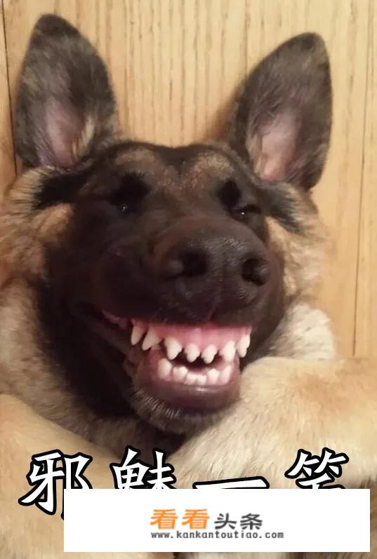 “充气娃娃体验馆”是否算卖淫嫖娼？是否触犯法律？