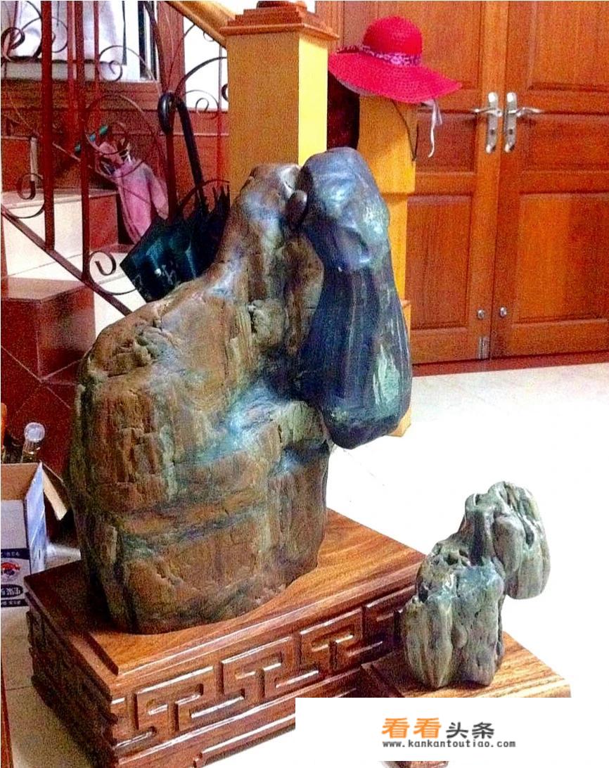 比较逼真的象形的天然奇石你有哪些？可以一起欣赏吗？