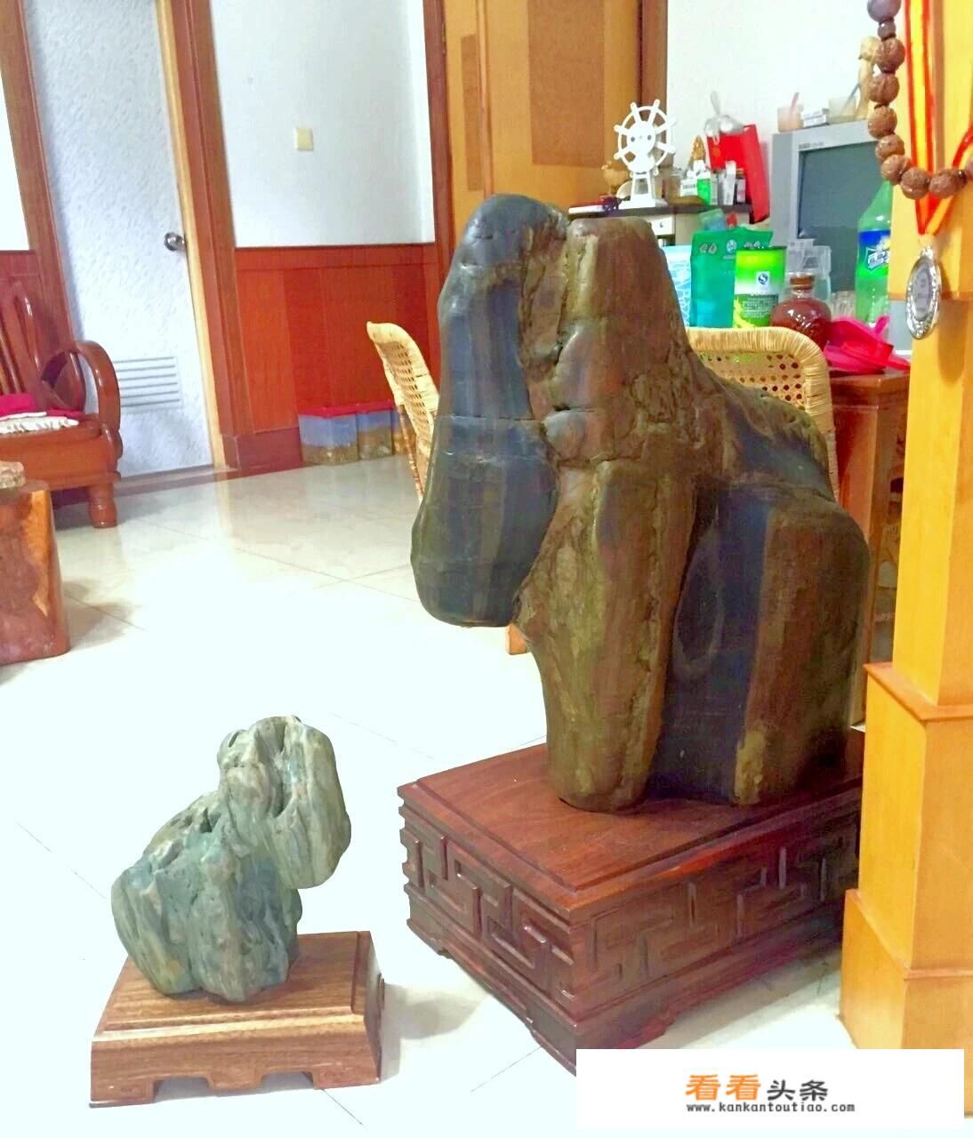 比较逼真的象形的天然奇石你有哪些？可以一起欣赏吗？