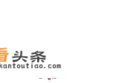 乳胶内套是什么？