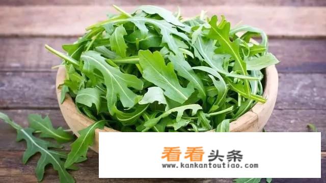 芝麻菜是什么样子？