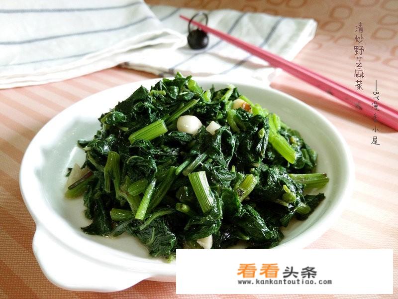 芝麻菜是什么样子？