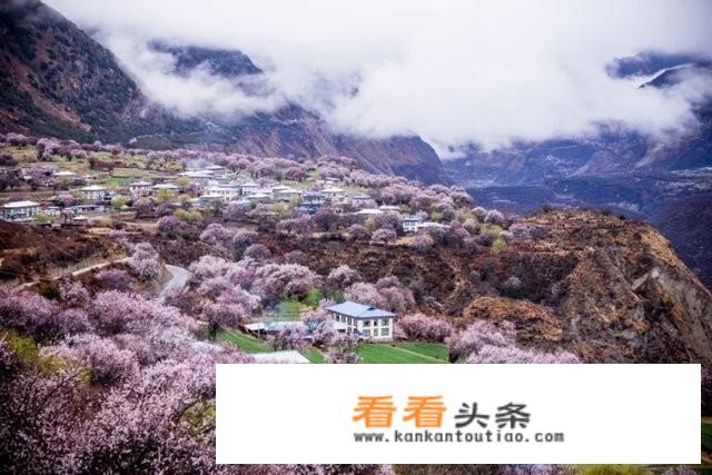 去西藏如何自行组团？