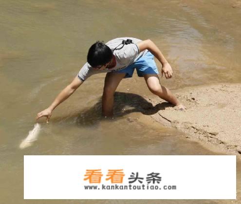 海边十大野生鱼？