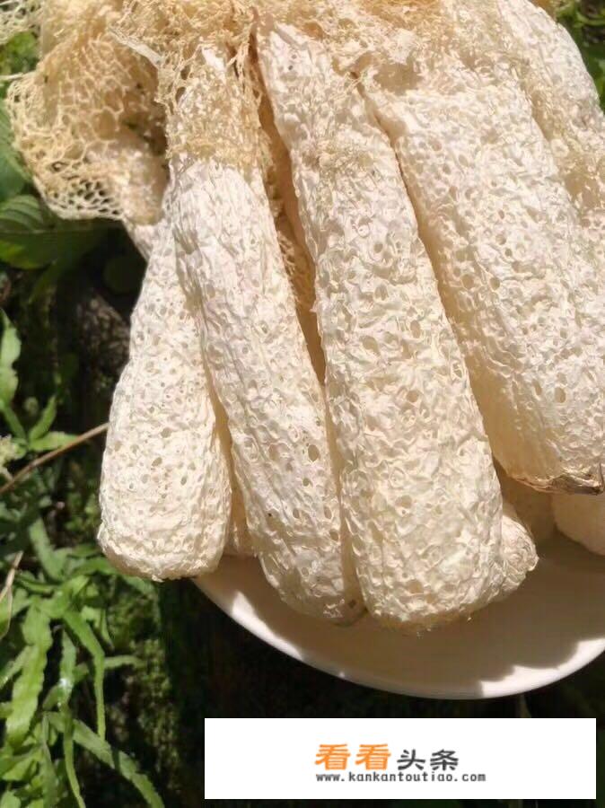干竹荪有一层白色的是坏了吗？