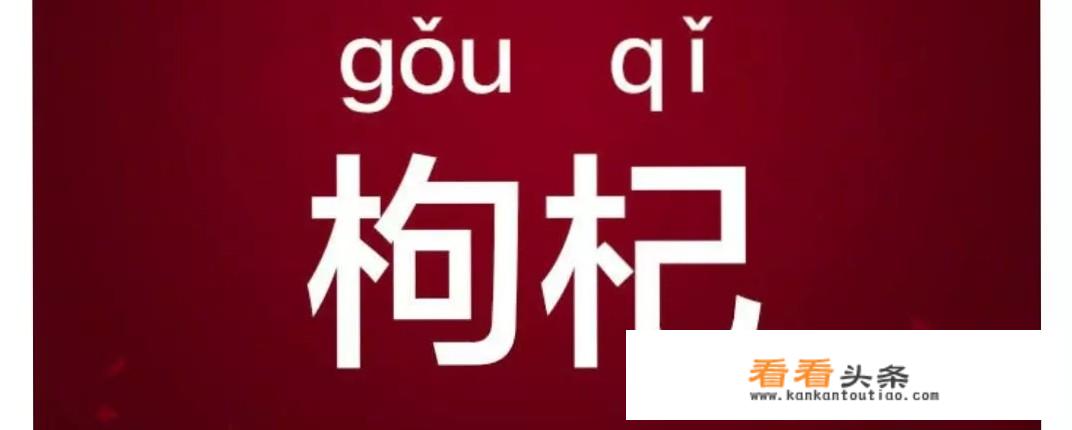 常吃枸杞对身体有什么好处？该怎么食用？