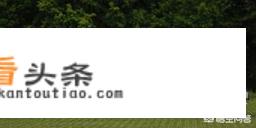 本田9.5代雅阁，有没有后排座椅钢板和前后防撞钢梁怎么样？有图片吗？