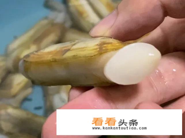 蛏子如何清洗最干净？蛏子的清洗方法？