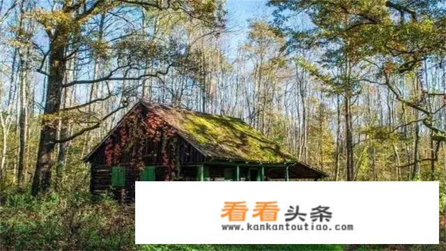 落樱小屋樱旅怎么过？
