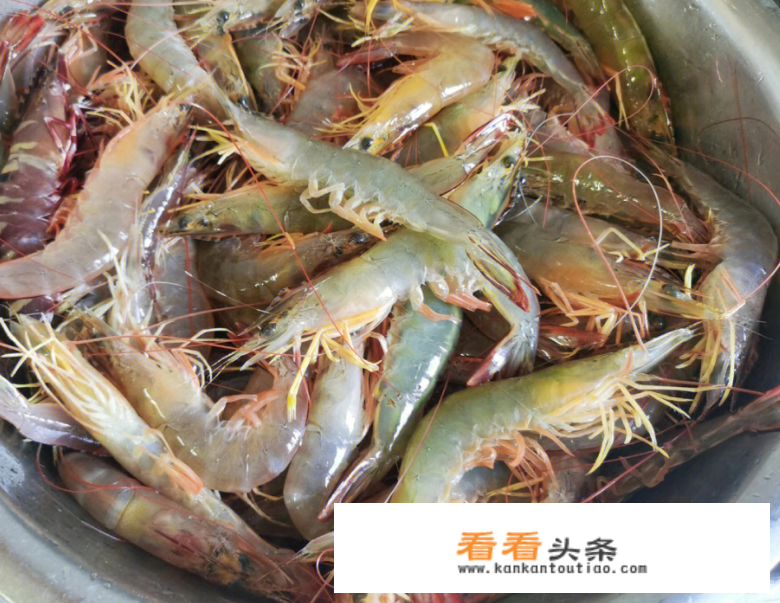 水煮大虾的最正宗做法？水煮大虾的秘制正宗做法是什么？
