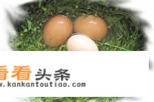 一颗小小的鸡蛋：有这么多种做法和吃法，看看你会几种？